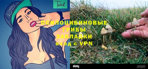 МДПВ Алексеевка