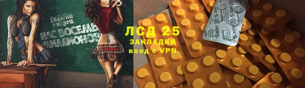 стафф Алексин