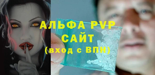 стафф Алексин