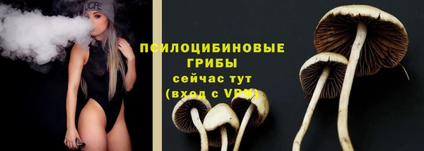 стафф Алексин