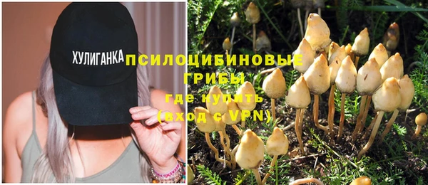 МДПВ Алексеевка