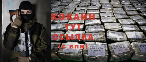 стафф Алексин