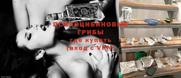 бошки Алзамай